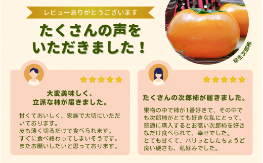 柿 早生次郎柿 約4kg | 先行予約 柿 かき カキ フルーツ 果物 くだもの 四角 甘柿 ギフト 贈り物 わせじろう 豊岡柿出荷組合 埼玉県 杉戸町