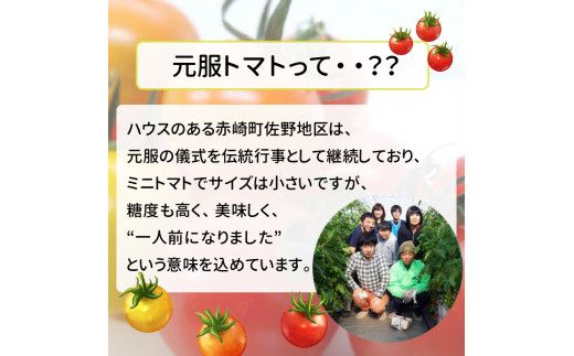 赤崎元服トマト フルーツトマト 1kg 野菜 ミニトマト [56500347]