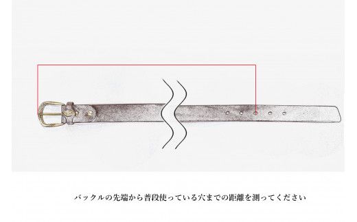 Bottega Glicine 栃木レザーベルト 172-006