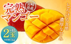 ＜宮崎県産 完熟マンゴー 4L×2玉(合計 約1kg)＞ ※2026年5月上旬～7月中旬までに順次出荷 マンゴー 果物 くだもの フルーツ 完熟 南国