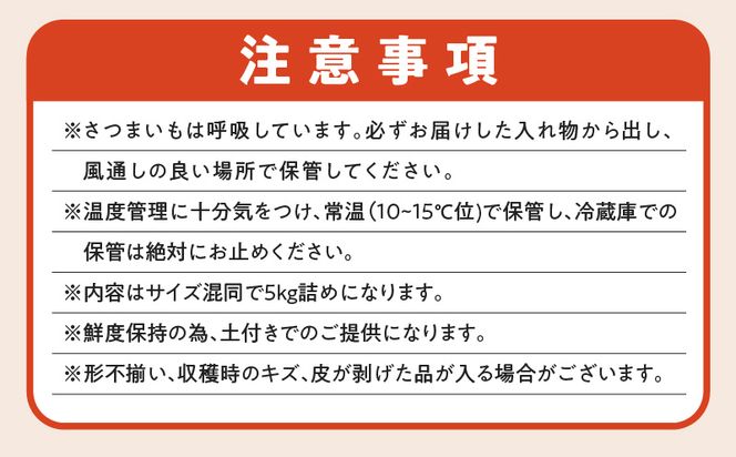 サイズバラバラ熟成べにはるか（生芋）土付き 5kg　K270-001