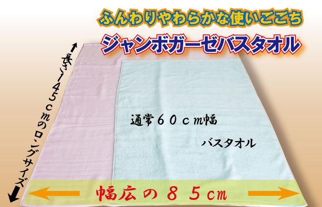 099H3811 ジャンボガーゼ バスタオル 3枚【泉州タオル 国産 吸水 普段使い シンプル 日用品 家族 ファミリー】