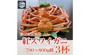 魚卸問屋のベニズワイガニ 700～800g級×3杯 はりたや ※2024年12月上旬～2025年5月下旬頃に順次発送予定 ※北海道・沖縄・離島への配送不可