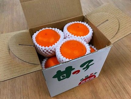 甘っ子 小玉 ハウス せとか 9玉入 手さげ箱 南泰園   BS172