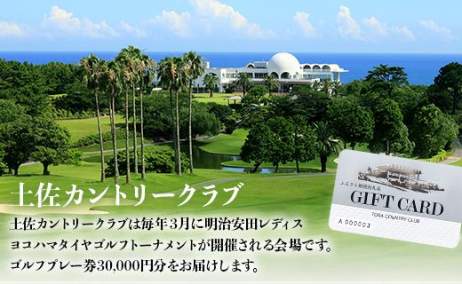 土佐カントリークラブ プレー券 30,000円分 - ゴルフ場 チケット プレー券 ラウンド コース 30000円 趣味 体験 スポーツ アウトドア 手結山開発観光株式会社 高知県 香南市 kb-0010