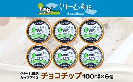 2335. くりーむ童話 カップアイス チョコチップ 100ml×6個 アイスクリーム アイス スイーツ 牛乳 ミルク 贈り物 gift ギフト プレゼント 詰め合わせ 送料無料 北海道 弟子屈町