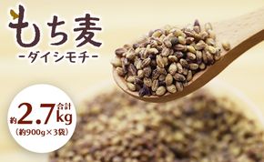 もち麦（ダイシモチ） 合計2.7kg - ライス おこめ おにぎり お弁当 夕飯 夕食 朝食 やわらかい 柔らかい もっちり 食感 料理 アレンジ 丼 2.7キロ 美味しい 美味しい プチギフト プレゼント 贈り物 食物繊維 ミネラル 豊富 熨斗 のし もちむぎ 国産 穀物 雑穀 大麦 ヘルシー 混ぜる まぜるだけ 炊く もちもち モチモチ 米 ごはん 常温 yr-0020