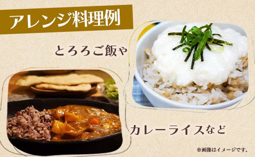 もち麦（ダイシモチ） 合計2.7kg - ライス おこめ おにぎり お弁当 夕飯 夕食 朝食 やわらかい 柔らかい もっちり 食感 料理 アレンジ 丼 2.7キロ 美味しい 美味しい yr-0065
