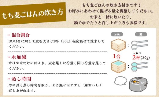 もち麦（ダイシモチ） 合計2.7kg - ライス おこめ おにぎり お弁当 夕飯 夕食 朝食 やわらかい 柔らかい もっちり 食感 料理 アレンジ 丼 2.7キロ 美味しい 美味しい yr-0065