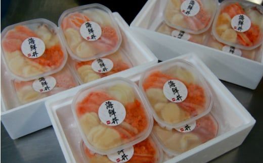 贅沢海鮮丼 12パックセット ( 海鮮 魚介 海鮮丼 丼ぶり お刺身 刺身 海鮮セット 簡単料理 時短料理 贈答 )【094-0064】