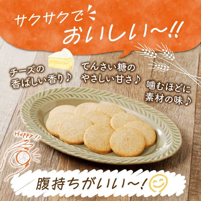 チーズブランクッキー [046K03]