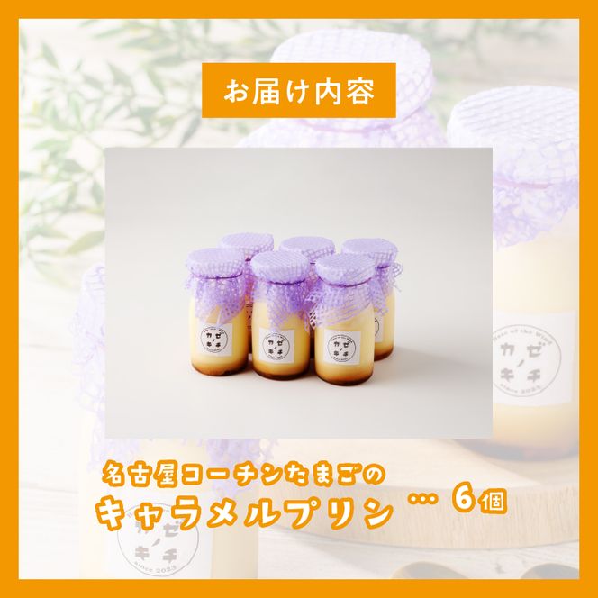名古屋コーチンたまごのキャラメルプリン　6個セット［075K11］