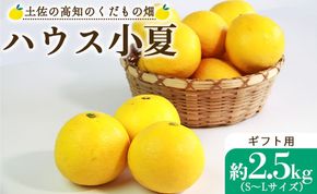 ハウス小夏 2.5kg(ギフト用) - ミカン みかん 蜜柑 柑橘 果物 フルーツ こなつ 贈答用 贈り物 のし対応可 熨斗 国産 kd-0011