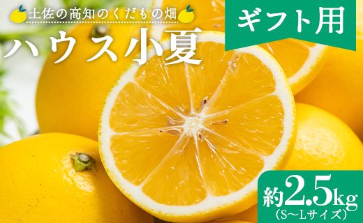 [2026年出荷分][日向夏]ハウス小夏 2.5kg(ギフト用) 高知 土佐 こなつ 果物 フルーツ 土佐の高知のくだもの畑 [先行予約] kd-0031