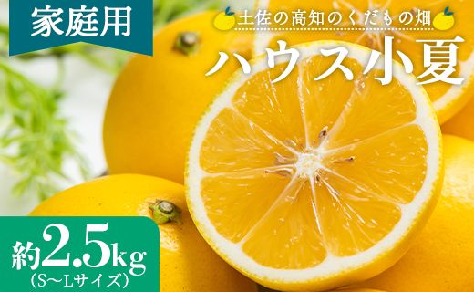 [2026年出荷分]ハウス小夏(日向夏) 2.5kg(家庭用) 高知 土佐 こなつ 果物 フルーツ 土佐の高知のくだもの畑 [先行予約] - 家庭用 訳あり 小夏 kd-0029