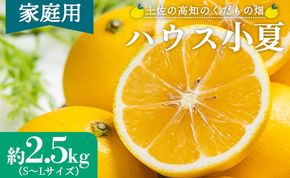 【2026年出荷分】ハウス小夏(日向夏) 2.5kg(家庭用) 高知 土佐 こなつ 果物 フルーツ 土佐の高知のくだもの畑 【先行予約】 - 家庭用 訳あり 小夏 kd-0029