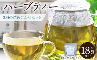 ブレンドハーブティー2種の詰め合わせセット - お茶 飲み物 ティーバッグ 茶葉 ミント レモングラス ローズマリー のし ギフト 贈り物 GreenBase 高知県 香南市 gr-0153