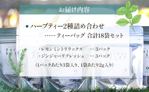 ブレンドハーブティー2種の詰め合わせセット - お茶 飲み物 ティーバッグ 茶葉 ミント レモングラス ローズマリー のし ギフト 贈り物 GreenBase 高知県 香南市 gr-0153