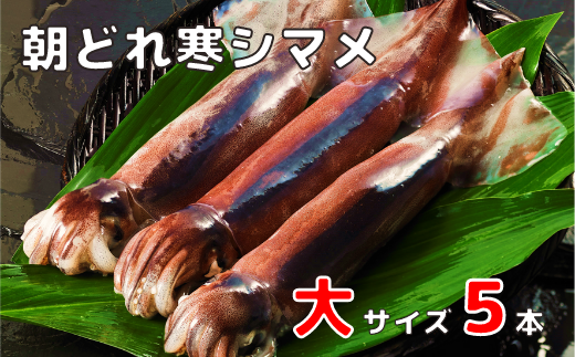 yCmzǂꊦV}TCYZbgi250-300×5j