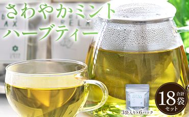 さわやかミントハーブティー 6パックセット - お茶 飲み物 ティーバッグ 茶葉 リラックス のし ギフト 贈り物 GreenBase 高知県 香南市 gr-0159