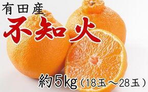 ［濃厚］有田の不知火約5kg（18～28玉）★2026年2月中旬頃より順次発送 BZ003