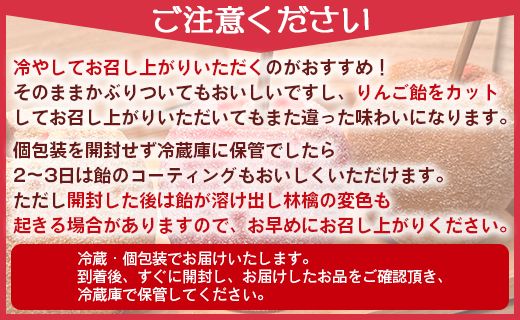 りんご飴 3種類から選べる3本セット 個包装 tuctuc - キャンディーシュガー レモンティーシュガー シナモンシュガー アップル 林檎 あめ フルーツ スイーツ おやつ お菓子 tt-0014