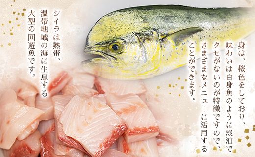 新鮮 シイラのすりみ(300ｇ×3)・団子(300ｇ×2) 合計1.5kg - すり身 しいら 魚 魚介 特産品 つみれ 練り物 惣菜 お鍋 おかず 小分け 手結港 国産 mt-0002