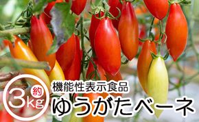 機能性表示食品 ミニトマト ゆうがたベーネ 3kg - ミニトマト プチトマト フルーツトマト ギフト のし対応 高糖度 お歳暮 御歳暮 贈答用 贈り物 is-0008