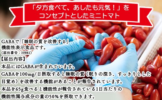 トマト 【先行受付】機能性表示食品 ミニトマト ゆうがたベーネ 2kg - ミニトマト プチトマト フルーツトマト ギフト のし対応 高糖度 お歳暮 御歳暮 贈答用 贈り物 is-0014