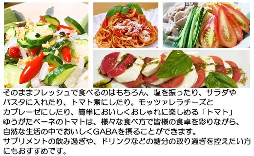 【先行予約】機能性表示食品 ミニトマト ゆうがたベーネ 1kg - ミニトマト プチトマト フルーツトマト ギフト のし対応 高糖度 お歳暮 御歳暮 贈答用 贈り物 is-0013