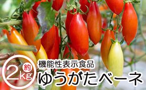 機能性表示食品 ミニトマト ゆうがたベーネ 2kg - ミニトマト プチトマト フルーツトマト ギフト のし対応 高糖度 お歳暮 御歳暮 贈答用 贈り物 is-0009