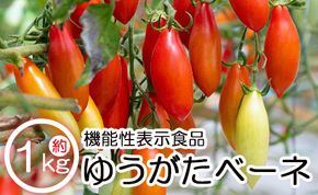 機能性表示食品 ミニトマト ゆうがたベーネ 1kg - ミニトマト プチトマト フルーツトマト ギフト のし対応 高糖度 お歳暮 御歳暮 贈答用 贈り物 is-0010