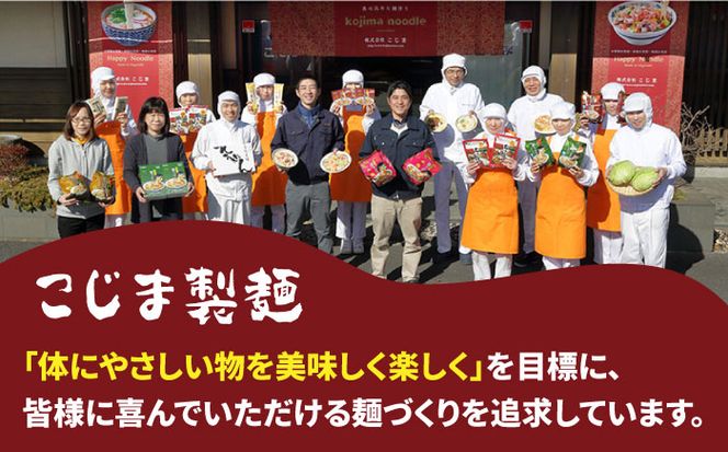 【長崎本場の味】スープ付き皿うどんファミリーパック８人前 / 皿うどん 贈り物 お取り寄せ お土産 本場 / 南島原市 / こじま製麺[SAZ024]