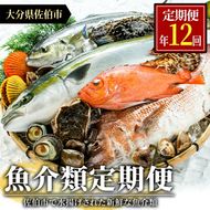 ＜定期便・全12回 (連続)＞魚介類定期便 (2-3人前×12ヶ月)魚 魚介 いか イカ たこ タコ 貝 海老 えび エビ 獲れたて 冷蔵 海の直売所 大分県 佐伯市【AS63】【海べ (株)】