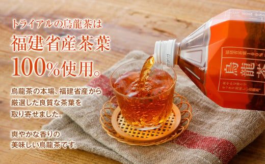 【定期便】トライアルのお茶飲み比べセット（緑茶2L×6本・烏龍茶2L×6本）を3か月連続でお届け