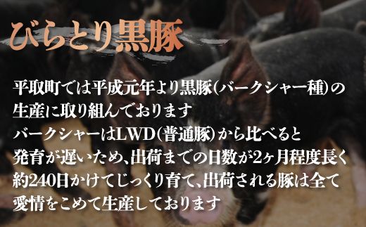 びらとり黒豚しゃぶしゃぶセット（ロース・バラ・モモ）各400ｇ　合計1.2㎏ ふるさと納税 人気 おすすめ ランキング 豚肉 肉 ロース 北海道 平取町 送料無料 BRTH024