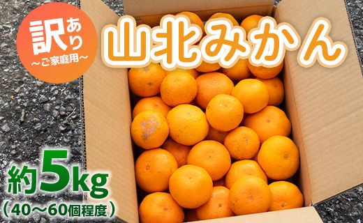 訳あり 山北みかん ご家庭用 約5kg(約40〜60個) 山北みらい - 果物 フルーツ 柑橘類 温州みかん ミカン 蜜柑 訳アリ わけあり 生産者応援 甘い おいしい 高知県 香南市 yk-0042