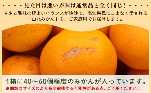 訳あり 山北みかん ご家庭用 約5kg（約40～60個） 山北みらい - 果物 フルーツ 柑橘類 温州みかん ミカン 蜜柑 訳アリ わけあり 生産者応援 甘い おいしい 高知県 香南市 yk-0022