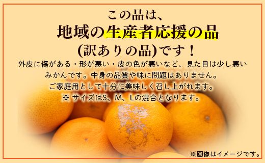 山北みかん わけあり 3kg 約20～40個入り 甘い - 果物 フルーツ 柑橘類 温州みかん ミカン 蜜柑 訳アリ わけあり 生産者応援 甘い おいしい 美味しい 山北みらい 高知県 香南市 yk-0027