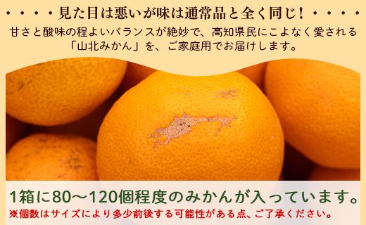 みかん 訳あり 山北みかん ご家庭用 約10kg（80～120個程度） 山北みらい - 果物 フルーツ 柑橘類 温州みかん ミカン 蜜柑 甘い おいしい 美味しい 高知県 香南市 yk-0059