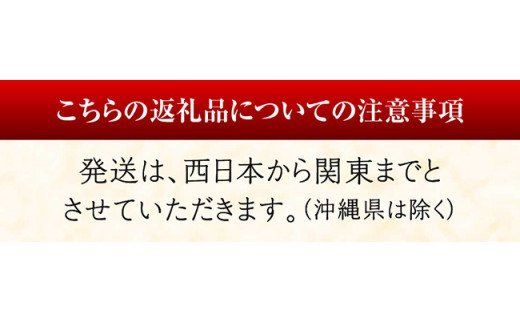 担当者厳選！ 伊勢海老2.0kg（2～8尾） 【 伊勢えび 魚介類 いせえび 海産物 宮崎県産 国産 】 [C04405]