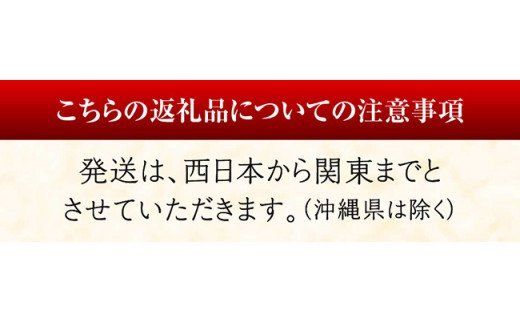 担当者厳選！伊勢海老2.0kg（2～8尾） 【 伊勢えび 魚介類 いせえび 海産物 宮崎県産 国産 】 [D04406]