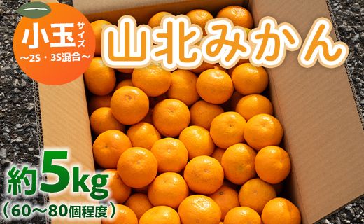 みかん 5kg ss 混合 山北みかん 小玉サイズ 2S・3S混合 約5kg(60〜80個程度) 山北みらい - 果物 フルーツ 柑橘類 温州みかん ミカン 蜜柑 甘い おいしい 美味しい 高知県 香南市 yk-0024