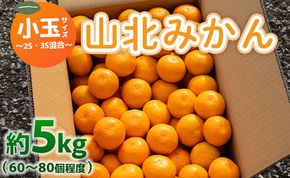 みかん 5kg ss 混合 山北みかん 小玉サイズ 2S・3S混合 約5kg（60～80個程度） 山北みらい - 果物 フルーツ 柑橘類 温州みかん ミカン 蜜柑 甘い おいしい 美味しい 高知県 香南市 yk-0024