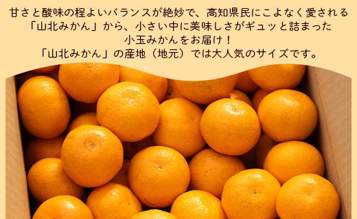 みかん 5kg ss 混合 山北みかん 小玉サイズ 2S・3S混合 約5kg（60～80個程度） 山北みらい - 果物 フルーツ 柑橘類 温州みかん ミカン 蜜柑 甘い おいしい 美味しい 高知県 香南市 yk-0024