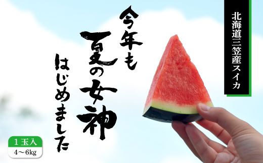 ykCO}szs2026NttwĂ̏_x킪ȂĊÂXCJ1ʓi4`6kgjy01005z