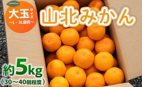 山北みかん 大玉サイズ L・2L混合 約5kg（30～40個程度） 山北みらい - 果物 フルーツ 柑橘類 温州みかん ミカン 蜜柑 甘い おいしい 美味しい 高知県 香南市 yk-0025