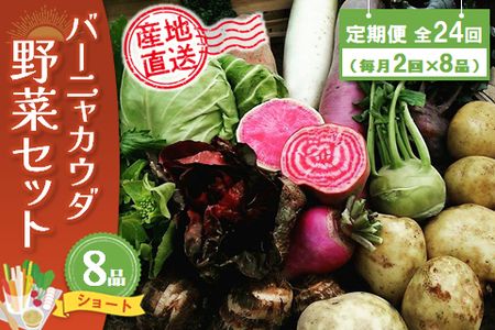 年間定期便24回 バーニャカウダ野菜セットショート 8品 【有機野菜 おまかせ野菜セット イタリア野菜 西洋野菜 定期便】(H078142)