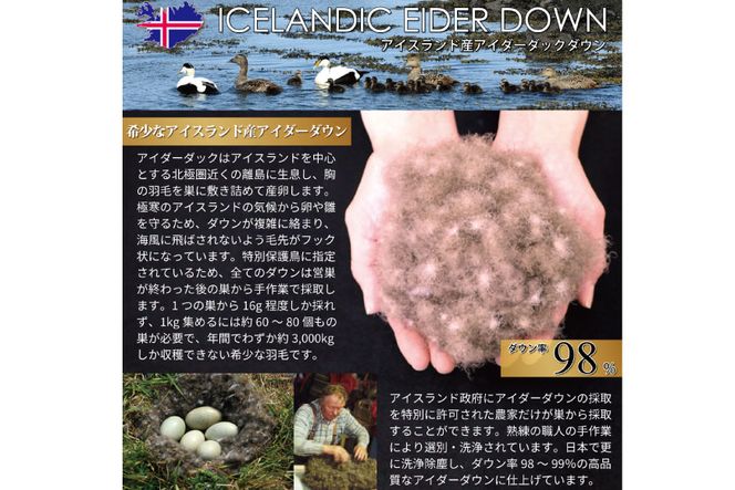 【冬用】アイダーダウン 最高級 軽量 羽毛布団 掛け布団 ダブル 冬 掛布団 本掛け アイスランド産 アイダーダックダウン98％ 1.4kg ジャカードサテン アイボリー 日本製 綿100％ ジャガード 布団 ふとん 羽毛ふとん 寝具 掛布団 ダウン ダウンケット ケース付き [川村羽毛 山梨県 韮崎市 20742564]