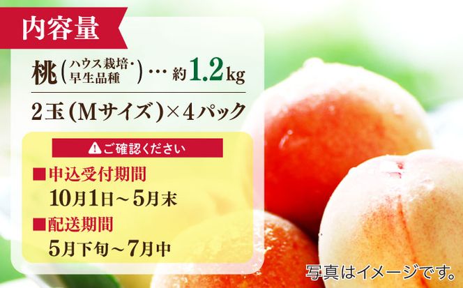 【2025年5月下旬〜順次発送】【南島原の特別栽培】小玉ハウス桃【約1.2kg】（Mサイズ：4パック） / 桃 もも モモ ピーチ 1.2kg デザート 旬 フルーツ 柔らかい 果物 / 南島原市 / ふくはちファーム [SBS007]